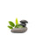 wellness-spa