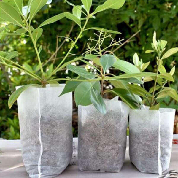 3423-911-21610 - 3423-911-21610_altpic_1.jpg