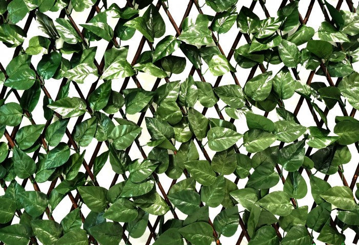 5902659145321 - 5902659145321_altpic_1.jpg