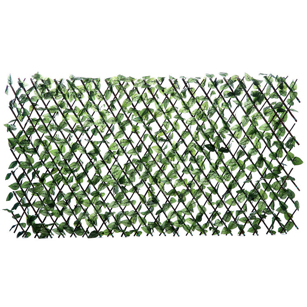 5902659145321 - 5902659145321.jpg