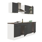 L210FHAN - L210FHAN.jpg