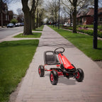 LP-GOKART - LP-GOKART_altpic_1.jpg