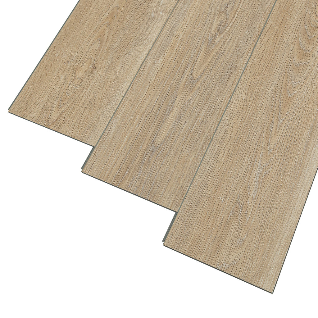 LPSPC-4-5-KEN-F_altpic_11.jpg