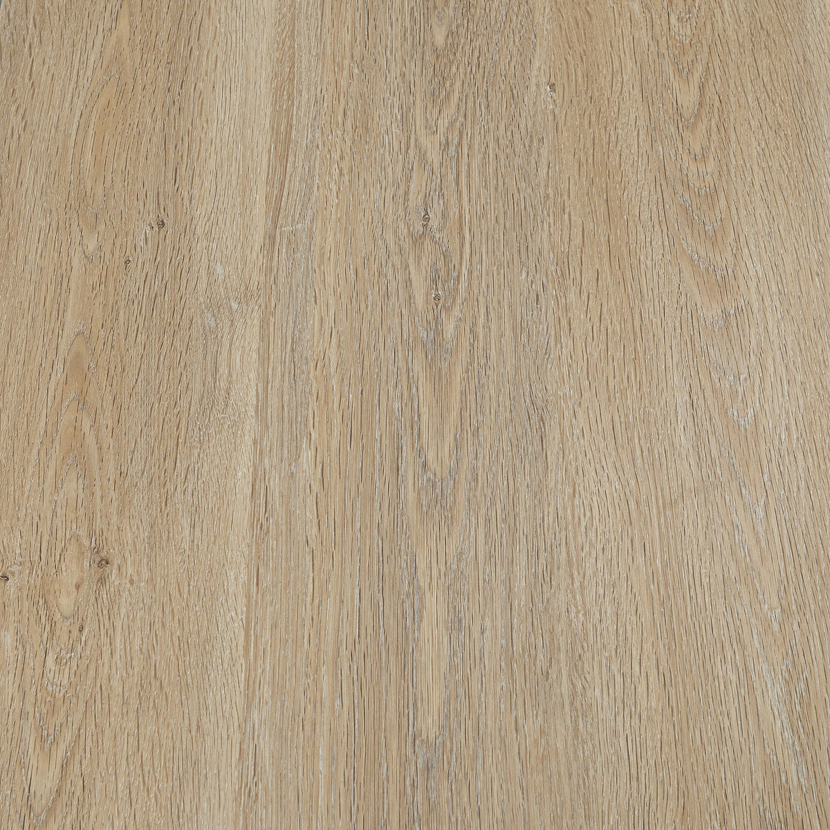 LPSPC-4-5-KEN_altpic_8.jpg