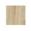 LPSPC-4-5-PIT - LPSPC-4-5-PIT.jpg