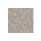 LPSPC-4-5-REN - LPSPC-4-5-REN.jpg