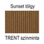TRENTSST-MINT - TRENTSST-MINT.jpg