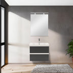 Vario002 - Vario002_altpic_1.jpg