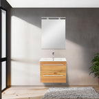 Vario030 - Vario030_altpic_1.jpg