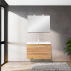 Vario069 - Vario069_altpic_1.jpg
