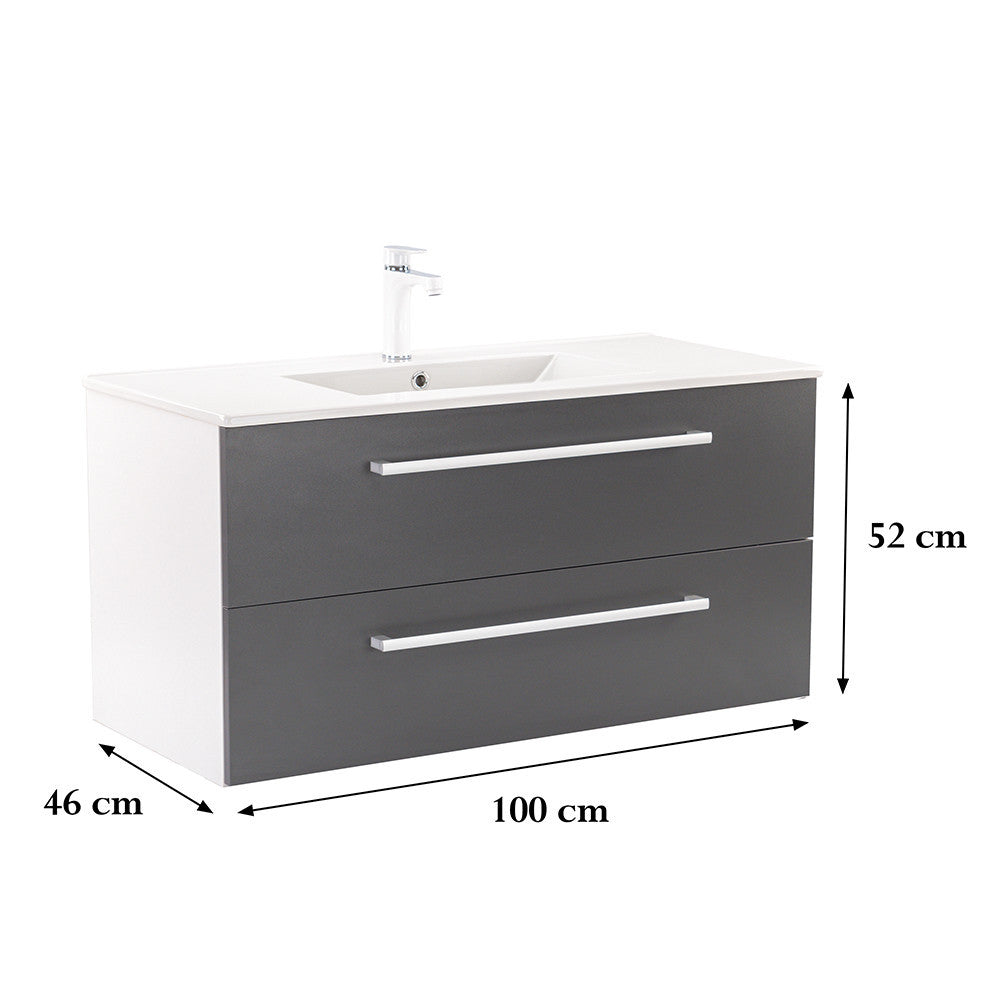 Vario101 - Vario101_altpic_2.jpg