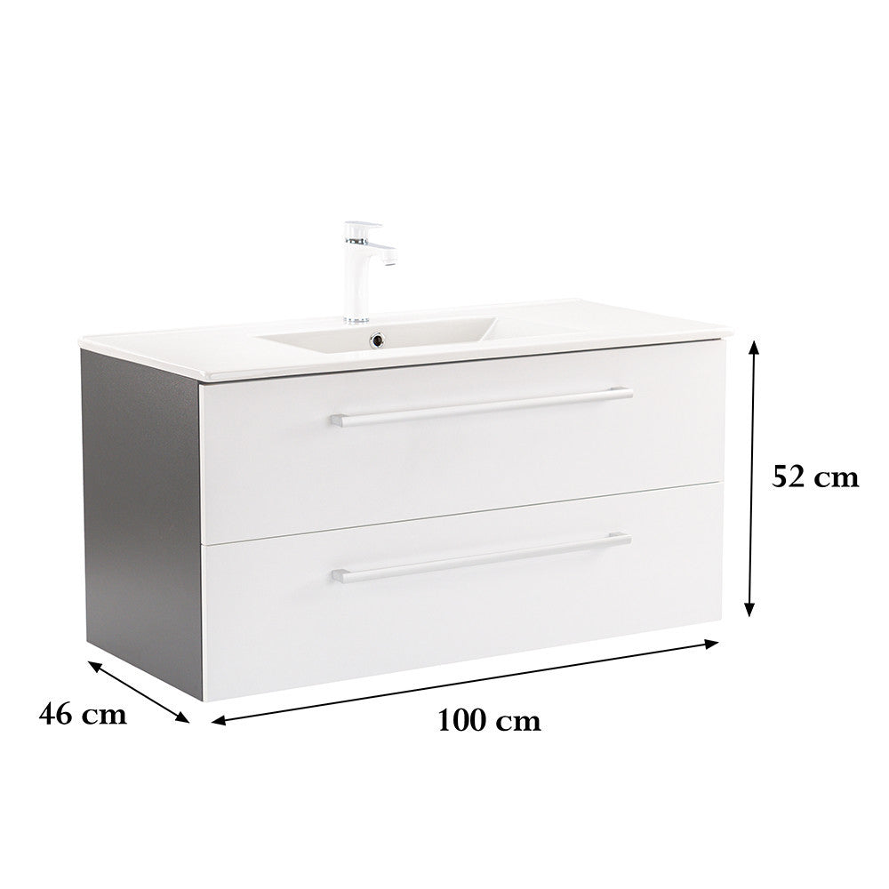 Vario103 - Vario103_altpic_2.jpg