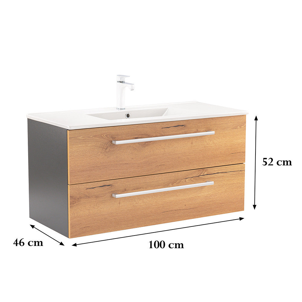 Vario105 - Vario105_altpic_2.jpg