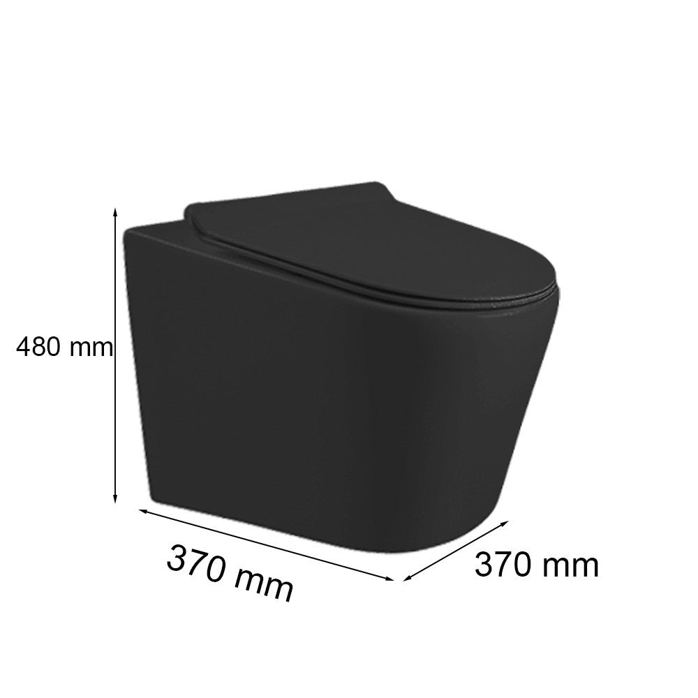 WT-1B - WT-1B_altpic_2.jpg