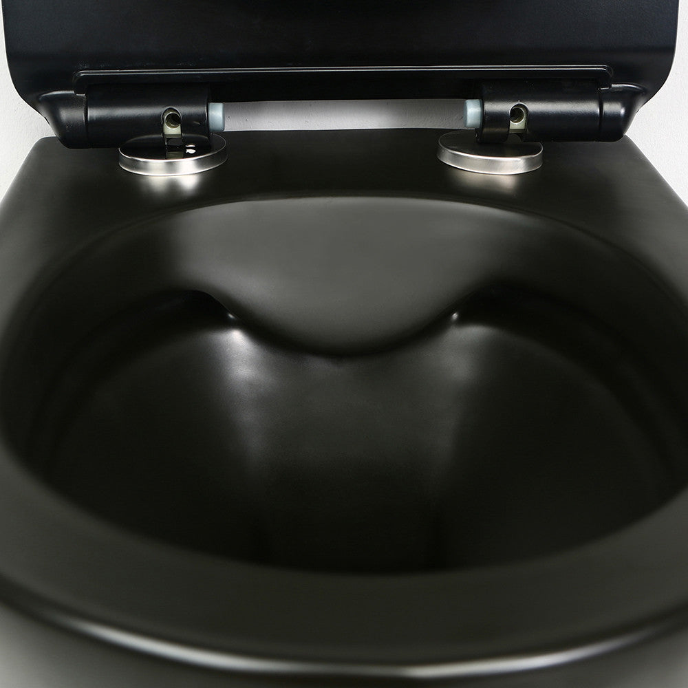 WT-1B - WT-1B_altpic_4.jpg