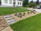 barbalics-istvan - barbalics-istvan_altpic_2.jpg