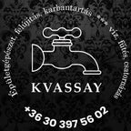kvassay-gyorgy - kvassay-gyorgy.jpg