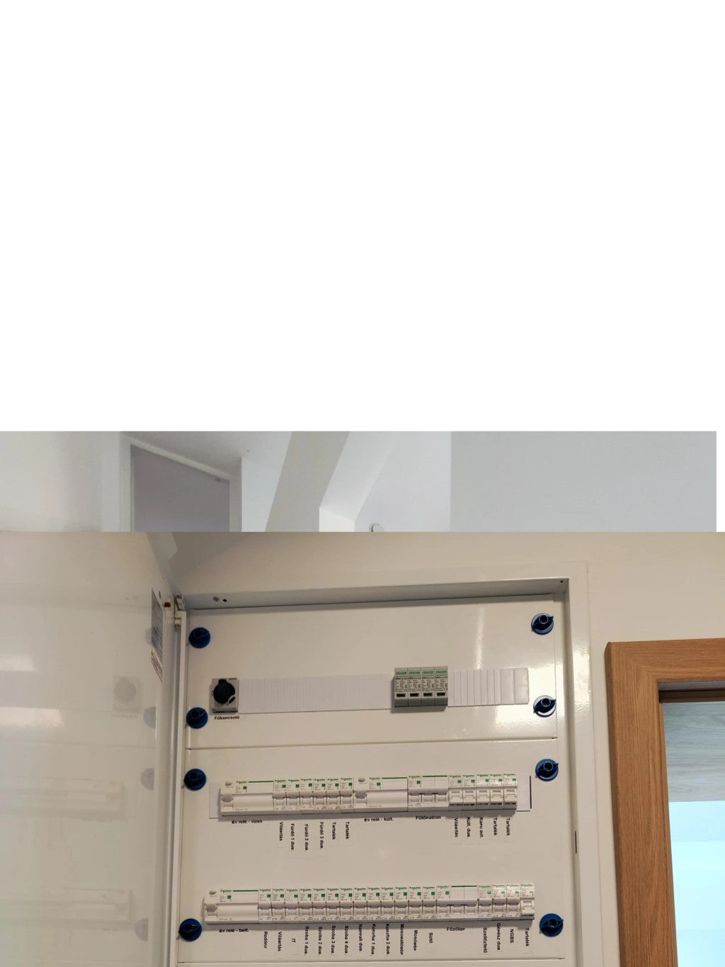 petmatix - petmatix_altpic_4.jpg
