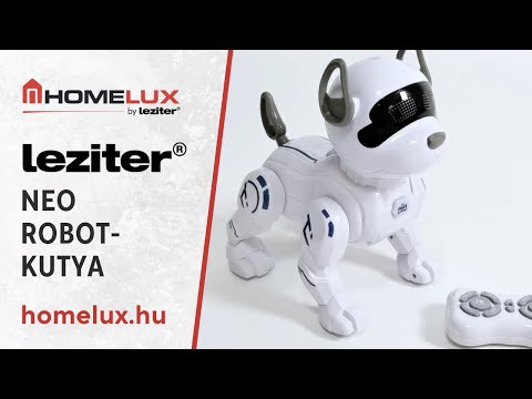 Neo okos, interaktív robotkutya