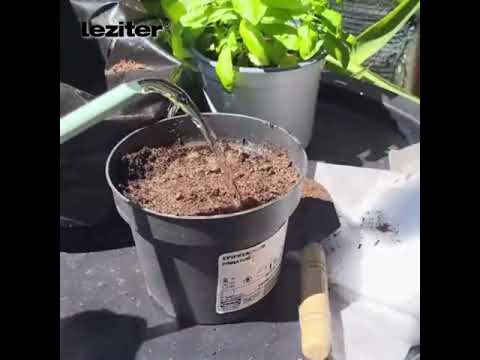 Lookgrow tasakok palántáknak
