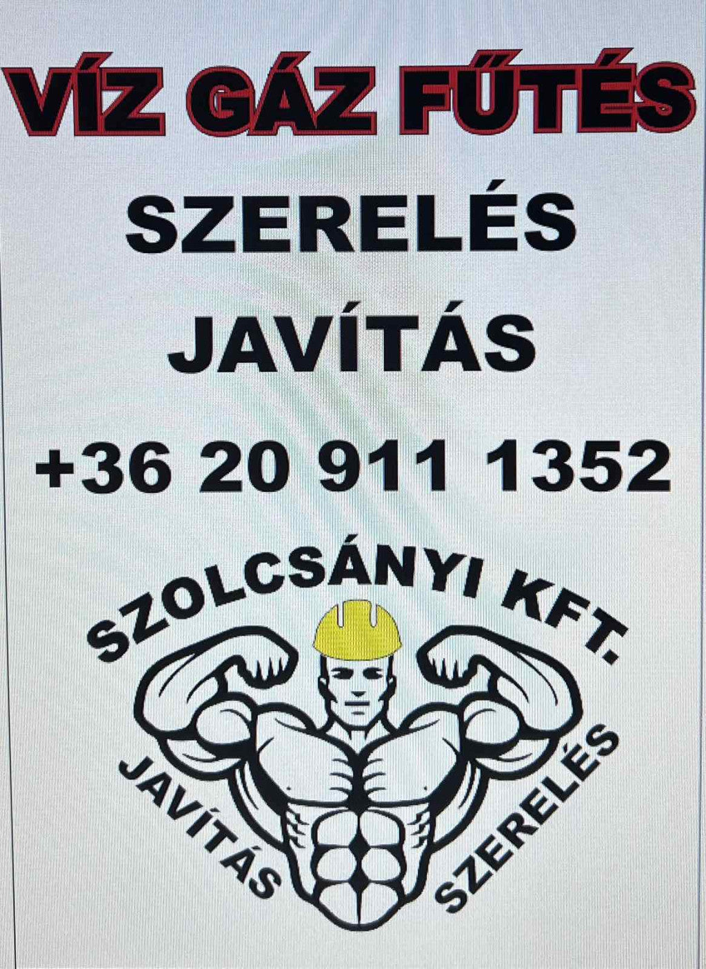 szolcsanyi-istvan - szolcsanyi-istvan.jpg
