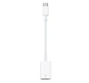 APPLE adapter kábel (USB aljzat - Type-C, 12cm) FEHÉR